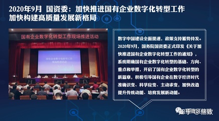 科技产业的数字化转型浪潮：企业如何应对？