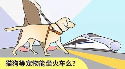 铁路部门开启京沪高铁部分车次宠物托运服务试点