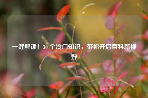 一键解锁！30 个冷门知识，带你开启百科新视野