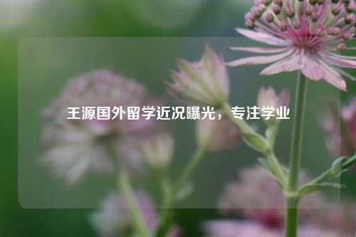 王源国外留学近况曝光，专注学业