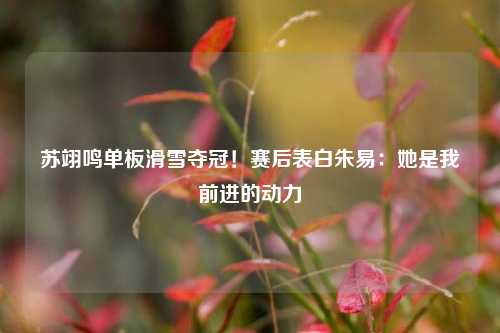 苏翊鸣单板滑雪夺冠！赛后表白朱易：她是我前进的动力