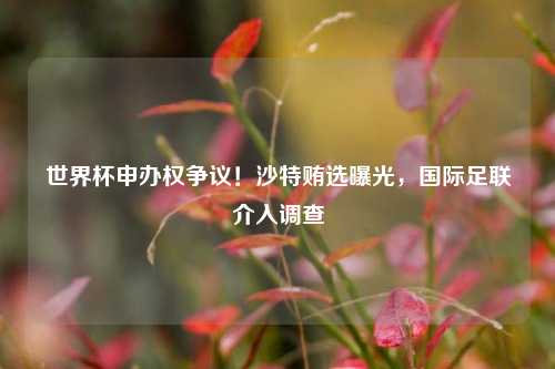 世界杯申办权争议！沙特贿选曝光，国际足联介入调查