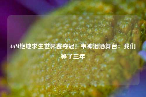 4AM绝地求生世界赛夺冠！韦神泪洒舞台：我们等了三年