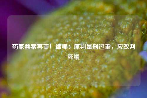 药家鑫案再审！律师：原判量刑过重，应改判死缓
