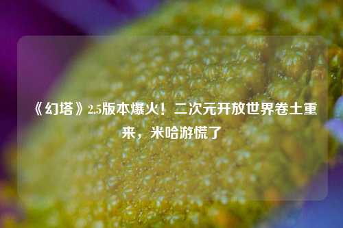 《幻塔》2.5版本爆火！二次元开放世界卷土重来，米哈游慌了