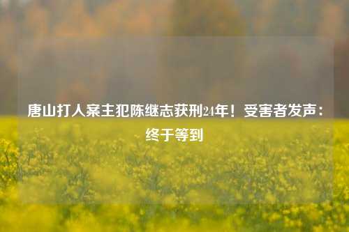 唐山打人案主犯陈继志获刑24年！受害者发声：终于等到