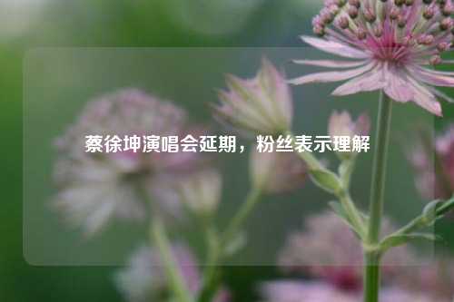 蔡徐坤演唱会延期，粉丝表示理解