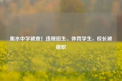 衡水中学被查！违规招生、体罚学生，校长被撤职