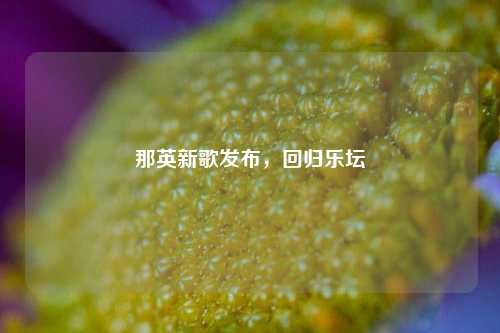 那英新歌发布，回归乐坛