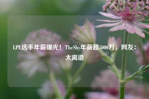 LPL选手年薪曝光！TheShy年薪超5000万，网友：太离谱