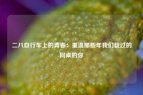 二八自行车上的青春：重温那些年我们载过的同桌的你