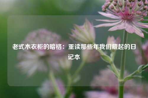老式木衣柜的暗格：重读那些年我们藏起的日记本