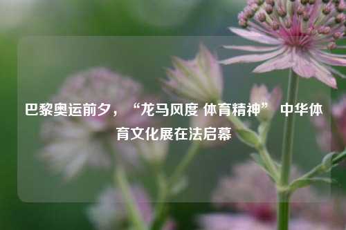 巴黎奥运前夕，“龙马风度 体育精神” 中华体育文化展在法启幕