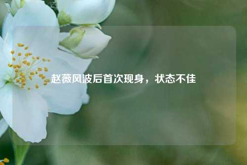 赵薇风波后首次现身，状态不佳