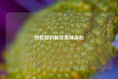 烘焙知识制作美味点心