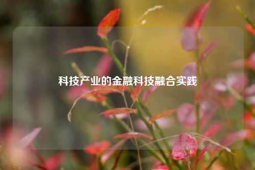 科技产业的金融科技融合实践