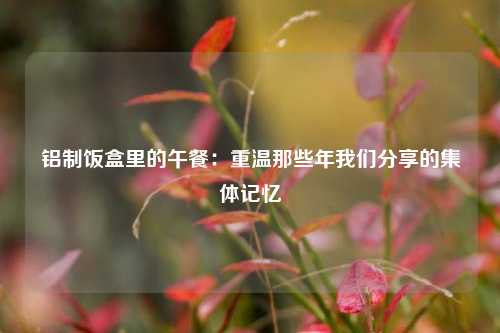 铝制饭盒里的午餐：重温那些年我们分享的集体记忆