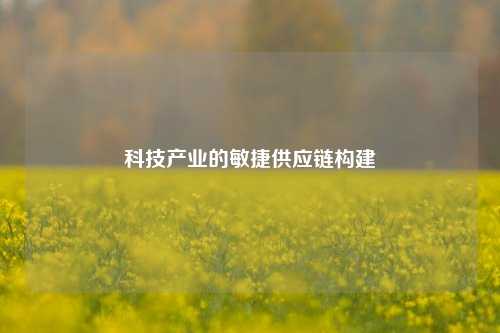 科技产业的敏捷供应链构建