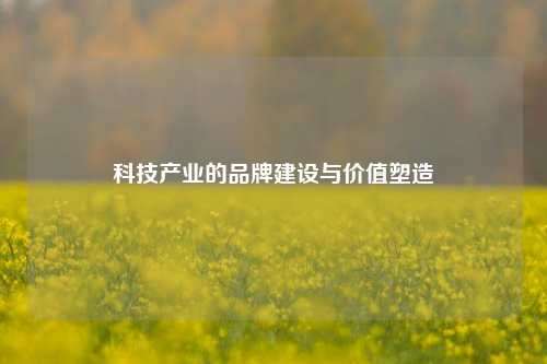 科技产业的品牌建设与价值塑造