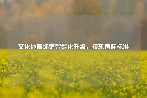 文化体育场馆智能化升级，接轨国际标准