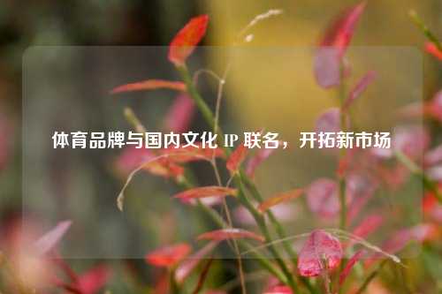 体育品牌与国内文化 IP 联名，开拓新市场