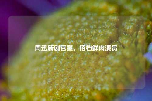 周迅新剧官宣，搭档鲜肉演员