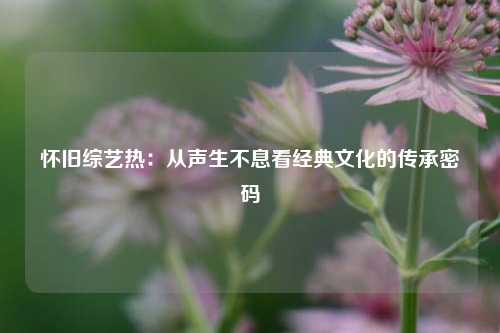 怀旧综艺热：从声生不息看经典文化的传承密码