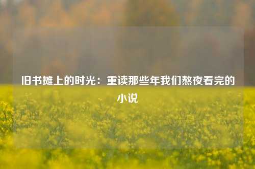 旧书摊上的时光：重读那些年我们熬夜看完的小说