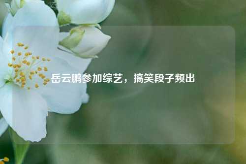岳云鹏参加综艺，搞笑段子频出