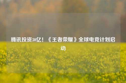 腾讯投资30亿！《王者荣耀》全球电竞计划启动
