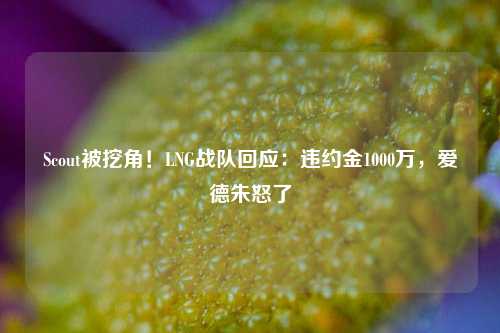 Scout被挖角！LNG战队回应：违约金1000万，爱德朱怒了
