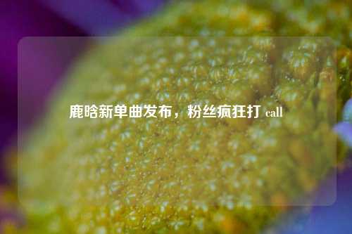 鹿晗新单曲发布，粉丝疯狂打 call