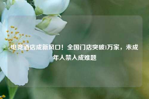 电竞酒店成新风口！全国门店突破1万家，未成年人禁入成难题