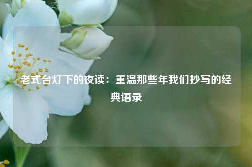 老式台灯下的夜读：重温那些年我们抄写的经典语录