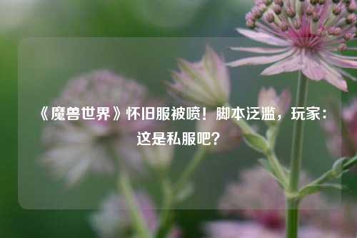 《魔兽世界》怀旧服被喷！脚本泛滥，玩家：这是私服吧？