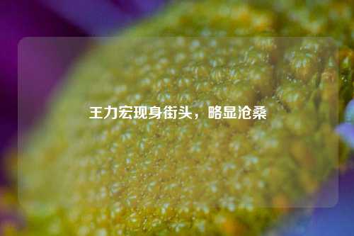 王力宏现身街头，略显沧桑