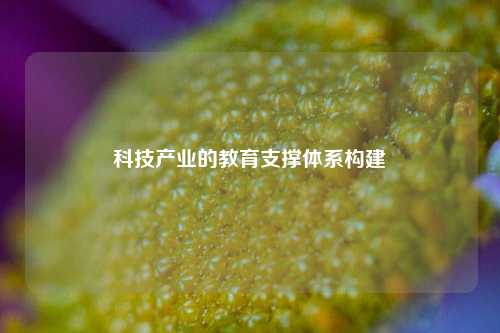 科技产业的教育支撑体系构建